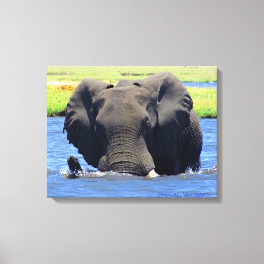 Elefanten des Chobe Leinwanddruck (Vorderseite)