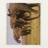 Elefanten des Chobe Planner Planer (Vorderseite)
