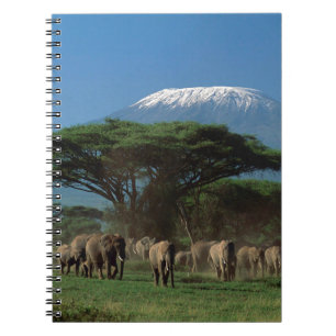 Elefanten des Mt.Kilimanjaro Notizblock