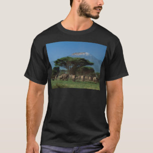 Elefanten des Mt.Kilimanjaro T-Shirt