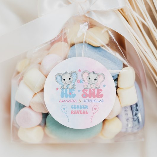 Elefanten, die er oder sie rosa blaue Genderdarste Runder Aufkleber