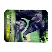 Elefanten, die im Fluss baden Magnet (Horizontal)