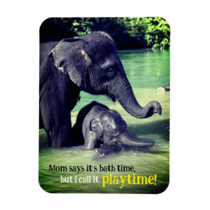 Elefanten, die im Fluss baden Magnet