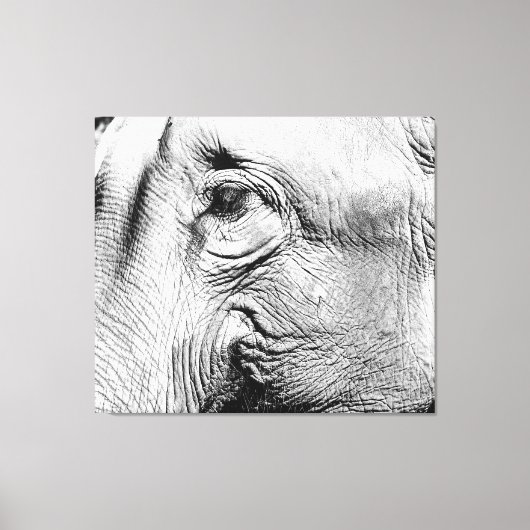 Elefanten Eye, 2017 Leinwanddruck (Vorderseite)