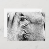 Elefanten Eye, 2017 Postkarte (Vorne/Hinten)
