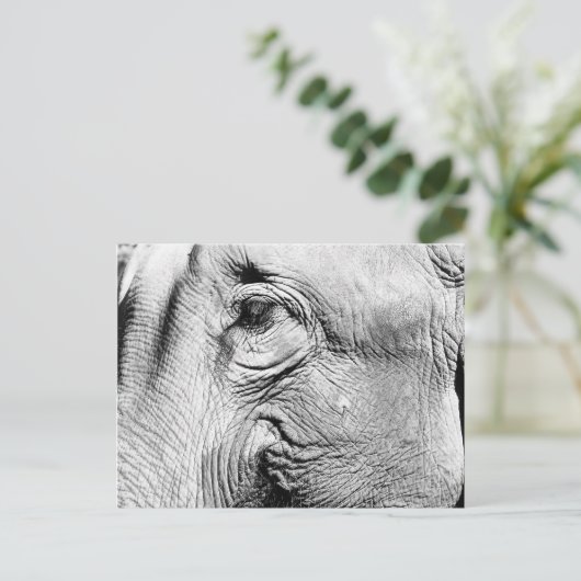 Elefanten Eye, 2017 Postkarte (Stehend Vorderseite)