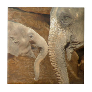 ELEFANTEN FLIESE