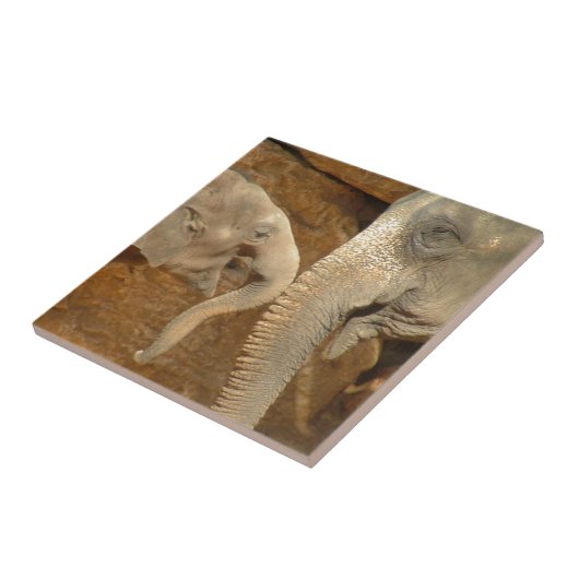 ELEFANTEN FLIESE (Seite)