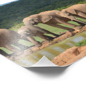 Elefanten Fotodruck (Ecke)