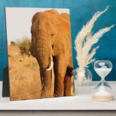 Elefanten Fotoplatte (Seite)