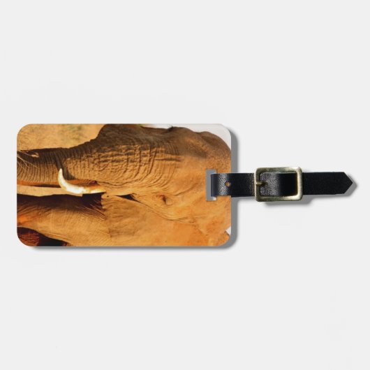 Elefanten Gepäckanhänger (Vorderseite horizontal)