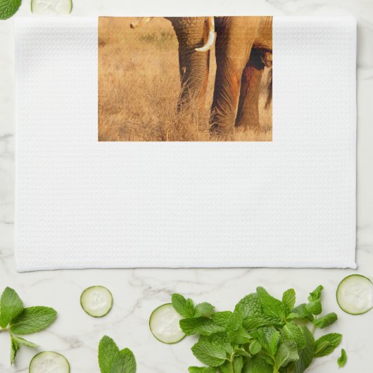 Elefanten Geschirrtuch (Gefaltet)