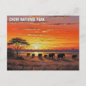 Elefanten im Chobe-Nationalpark Botswana Postkarte (Vorderseite)
