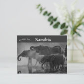 Elefanten im Etosha-Nationalpark Namibia Postkarte (Stehend Vorderseite)