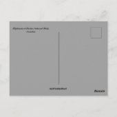 Elefanten im Etosha-Nationalpark Namibia Postkarte (Rückseite)