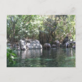 Elefanten im Spiel Postkarte (Vorderseite)