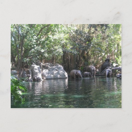 Elefanten im Spiel Postkarte (Vorderseite)