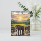 Elefanten im Udawalawe-Nationalpark in Sri Lanka Postkarte (Stehend Vorderseite)