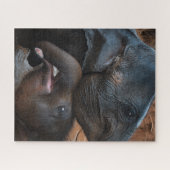 Elefanten im Wasser lächeln Puzzle (Horizontal)