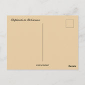 Elefanten in Botswana Postkarte (Rückseite)