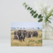 Elefanten in der Masai Mara Postkarte (Stehend Vorderseite)