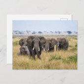 Elefanten in der Masai Mara Postkarte (Vorne/Hinten)