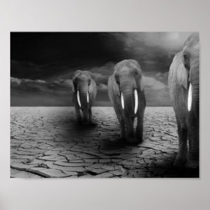 Elefanten in der Wüste Poster