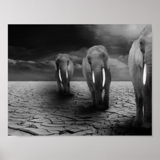 Elefanten in der Wüste Poster (Vorne)
