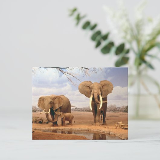 Elefanten in der Wüste Postkarte (Stehend Vorderseite)