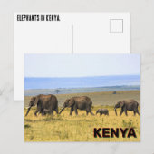 Elefanten in Kenia Postkarte (Vorne/Hinten)