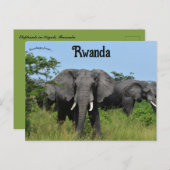Elefanten in Kigali Ruanda Postkarte (Vorne/Hinten)