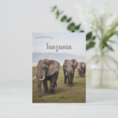 Elefanten in Ngorongoro Tansania Postkarte (Stehend Vorderseite)