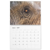 Elefanten Kalender (Mär 2027)
