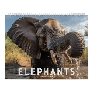 Elefanten Kalender