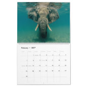 Elefanten Kalender (Feb 2027)