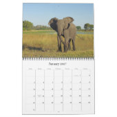 ELEFANTEN KALENDER (Jan 2027)