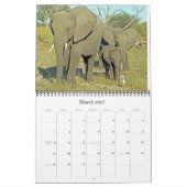 ELEFANTEN KALENDER (Mär 2027)