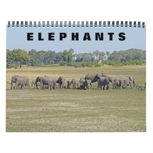ELEFANTEN KALENDER (Titelbild)