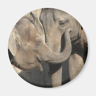 Elefanten Magnet
