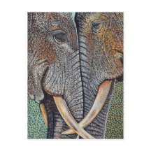 Elefanten nie vergessen