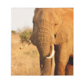 Elefanten Notizblock (Vorderseite)