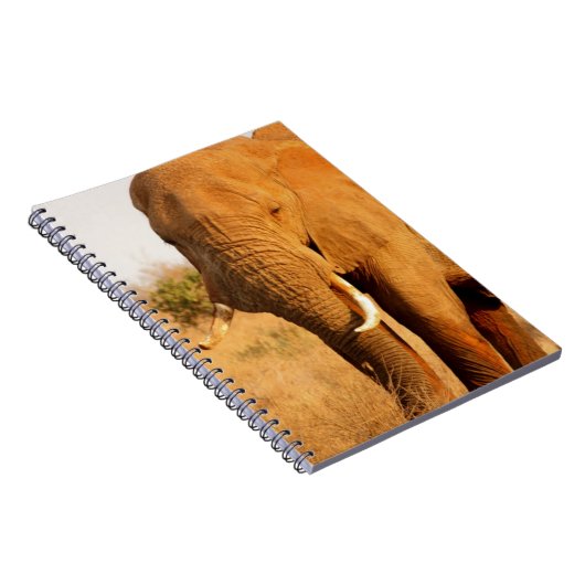 Elefanten Notizblock (Rechte Seite)