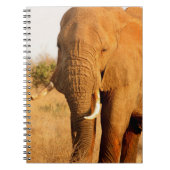 Elefanten Notizblock (Vorderseite)