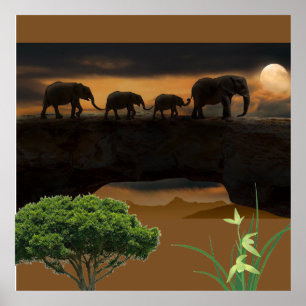 Elefanten Poster