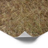 Elefanten Poster (Ecke)