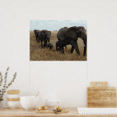 Elefanten Poster (Küche)