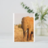 Elefanten Postkarte (Stehend Vorderseite)