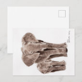 Elefanten Postkarte (Vorne/Hinten)