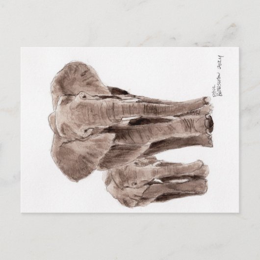 Elefanten Postkarte (Vorderseite)