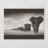 Elefanten Postkarte (Vorderseite)